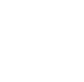 logo blanc lycée aubanel for business